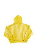 astrum distressed graphic-print hoodie