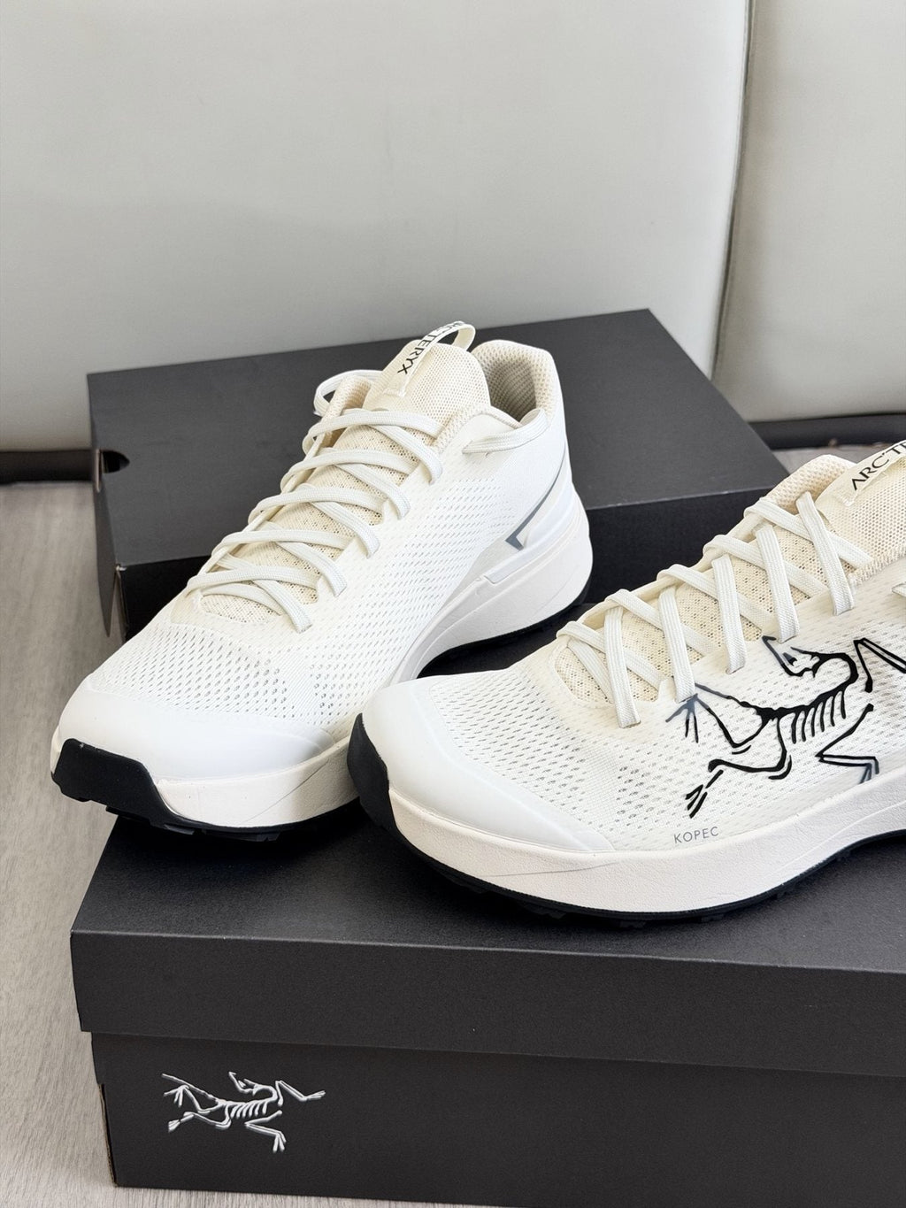 Arc'teryx Low-Cut Hiking Shoes